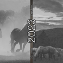 Horses-2023.png