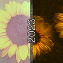 Sunflowers-2023.png