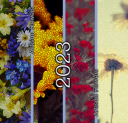 ArtisanFlowers-2023.png