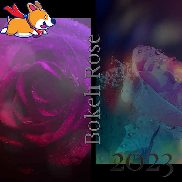 Bokeh Rose
Available Now
