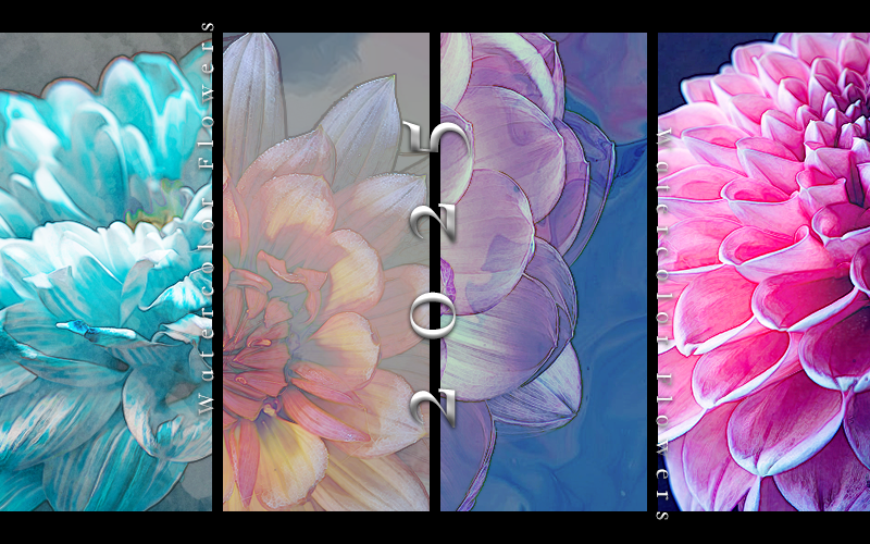 Watercolor Flowers
Available Now
