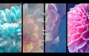 WatercolorFlowers-2025.png