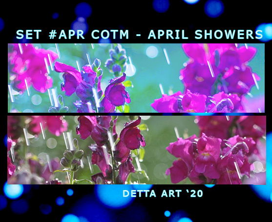 April Showers
Available: Now
