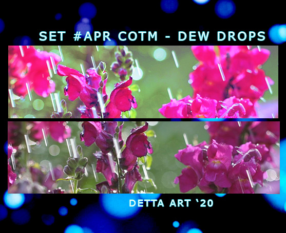 Dew Drops
Available: Now
