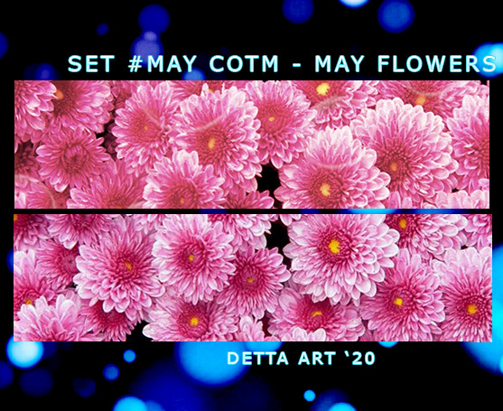 May Flowers
Available: Now
