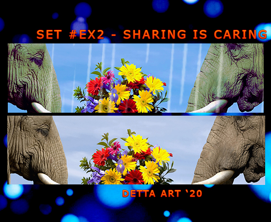 Sharing is Caring
available: now
