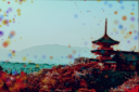 DTA-AsianBokeh.png