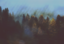 DTA-PhantomWoods-02.png