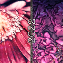 FlowerBokeh2022.png