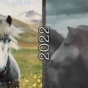 PrettyHorses-2022.png