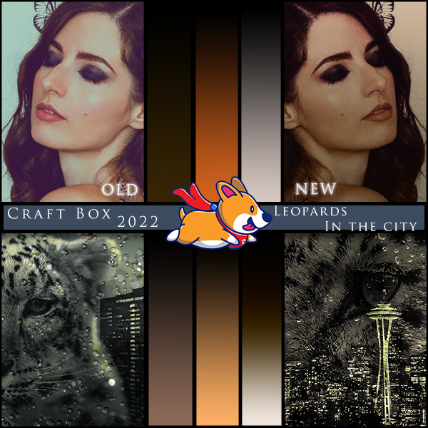 Leopards In The City Craft Box-2022
Available Now
