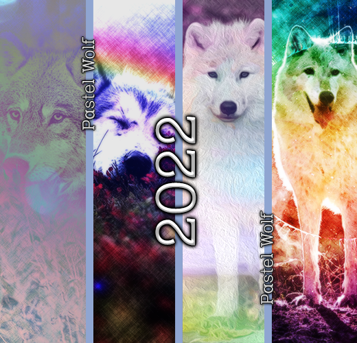 Pastel Wolf
2022
