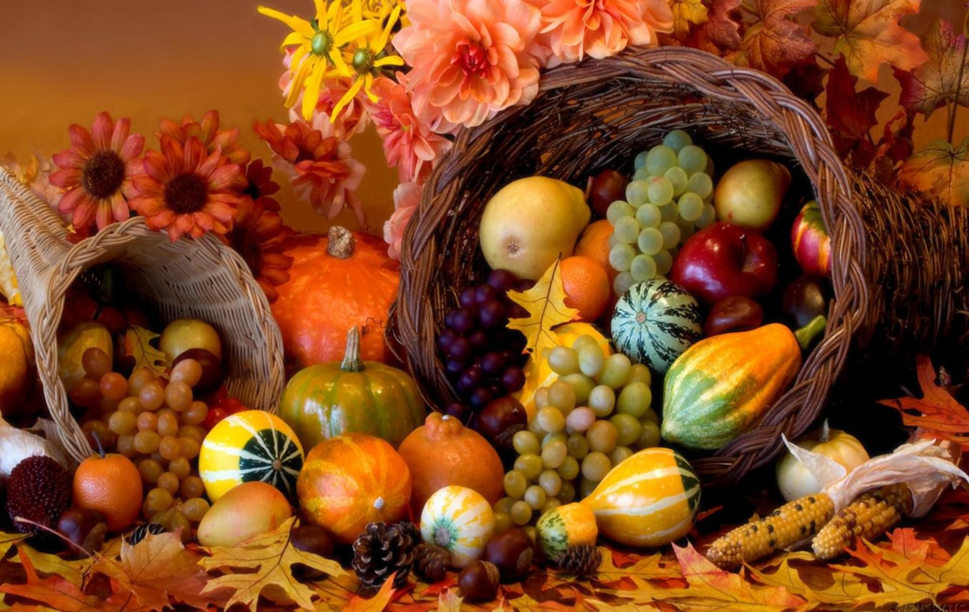 175-1756683_thanksgiving-holiday-autumn-turkey-wallpaper-happy-thanksgiving-cornucopia.jpg