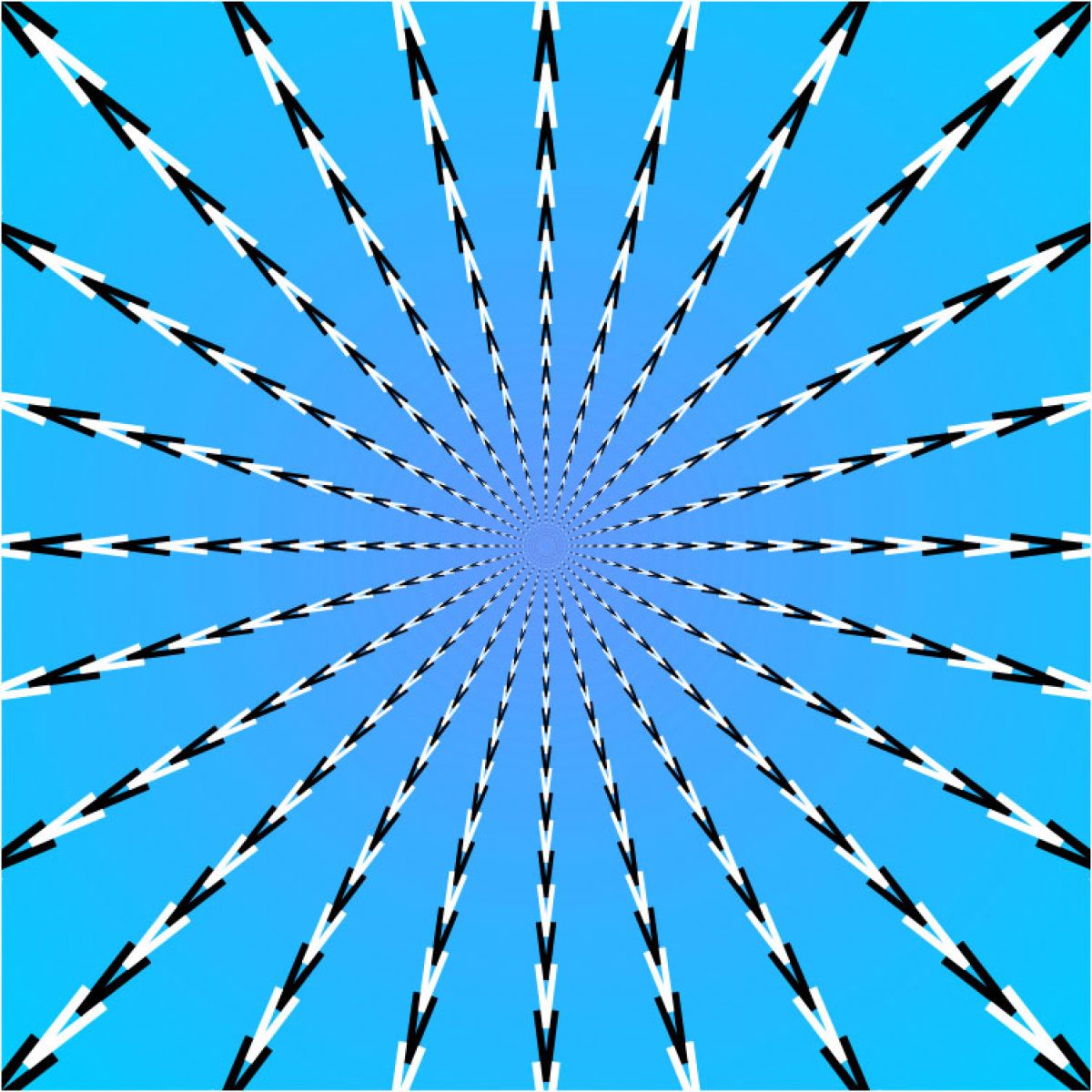 Crazy-Optical-Illusion-HD-Moving-Wallpapers-for-Mobile-and-.jpg