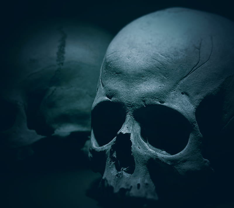 HD-wallpaper-blue-art-dark-death-gothic-horror-skull.jpg