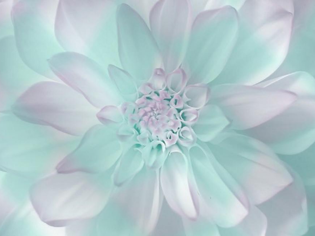 Pastel___cynthia_selahblue_cynti19_Wallpaper_32424193~0.jpg