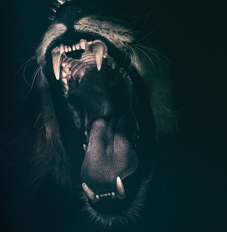 angry-roaring-roar-fear-wallpaper-preview_0.jpg