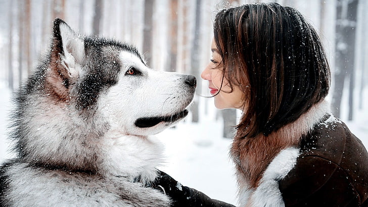 animals-women-outdoors-smiling-alaskan-malamute-wallpaper-preview.jpg