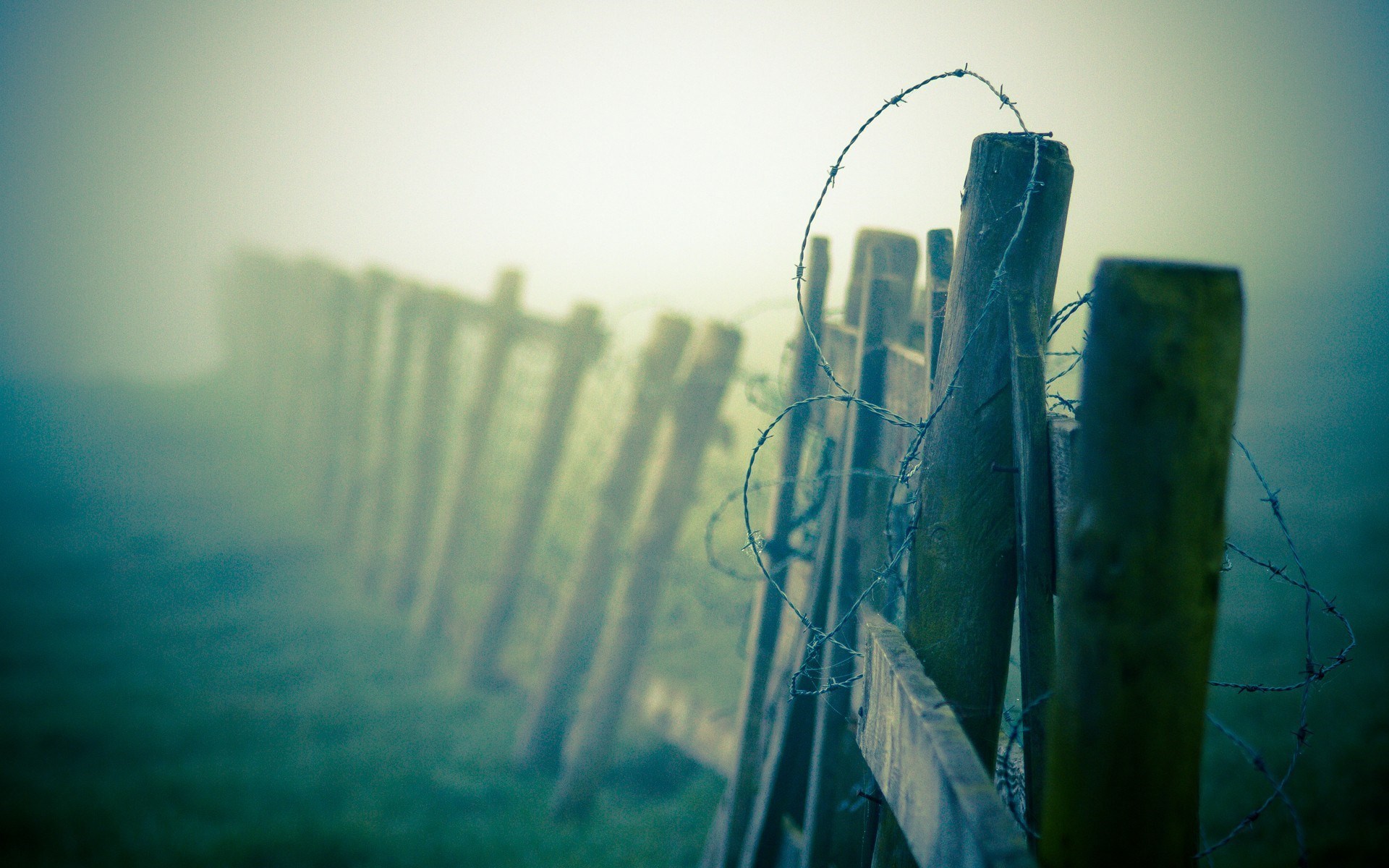 barbed-wire-fence-wallpaper-54321-56054-hd-wallpapers.jpeg