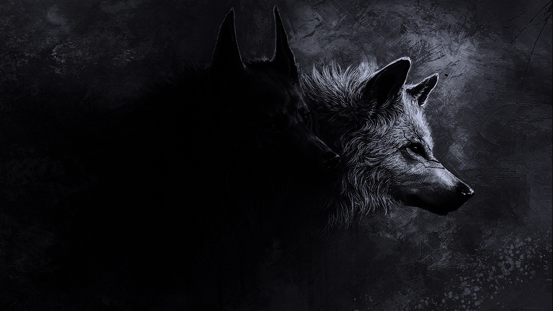 black-wolf-03.jpg