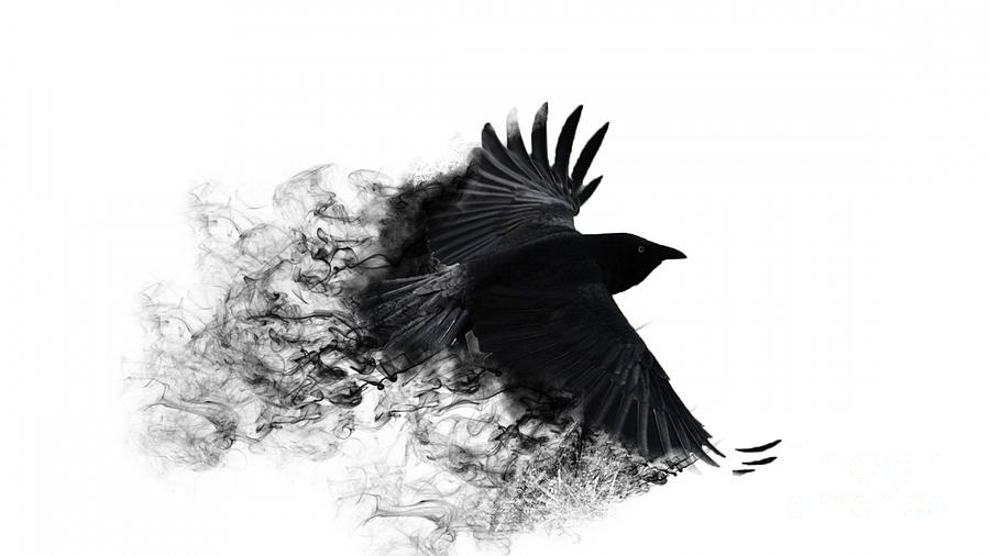 crow-wallpaper-andy-maryanto.jpg