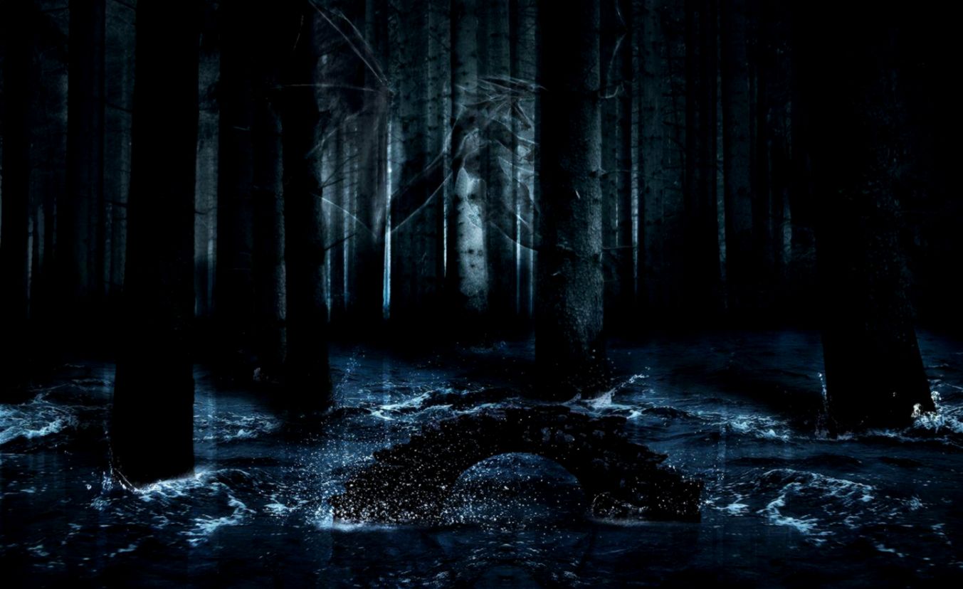 dark-forest-wallpapers-wallpaper-cave.jpg