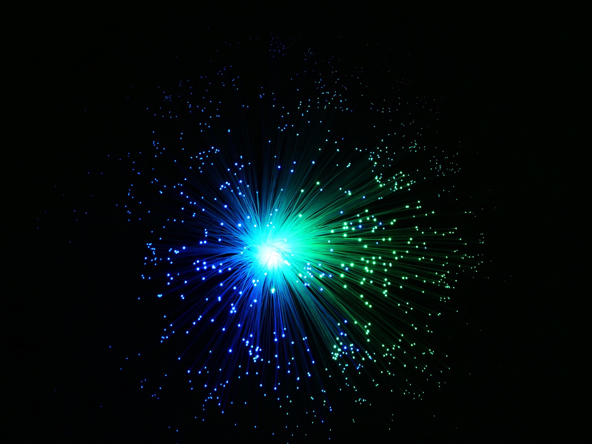 fiber-optic_t20_KvrBAv.jpg