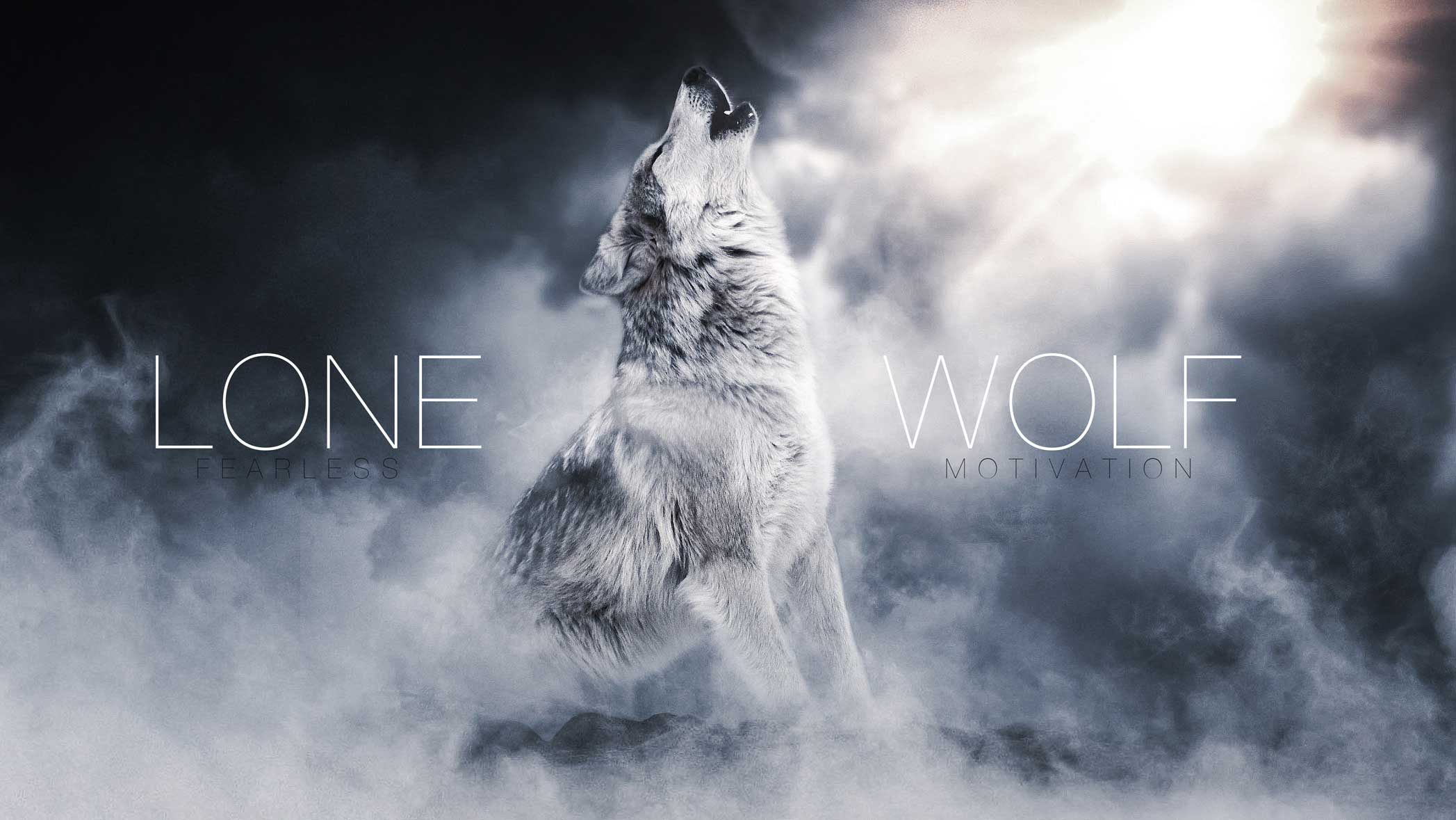 lone-wolf-web.jpg