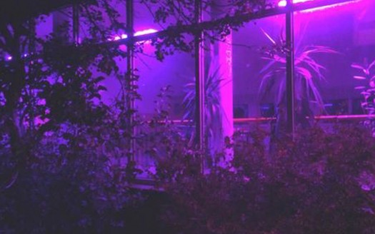 midnight_purple_aesthetic_room_lights_hd_purple_aesthetic-t2.jpg