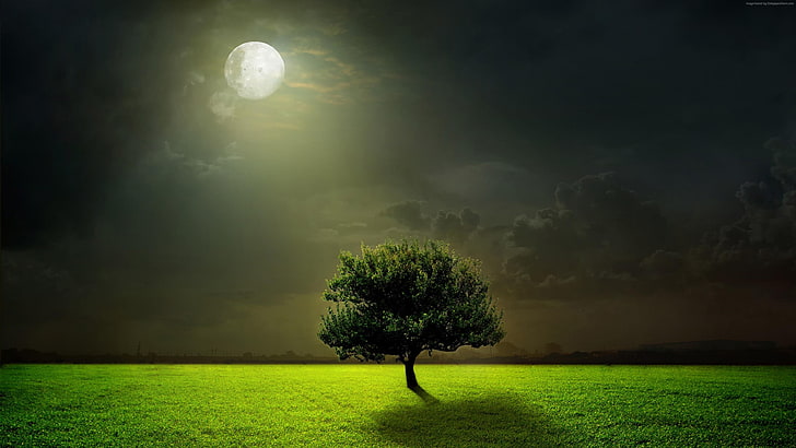 moonlit-dark-night-sky-darkness-wallpaper-preview.jpg