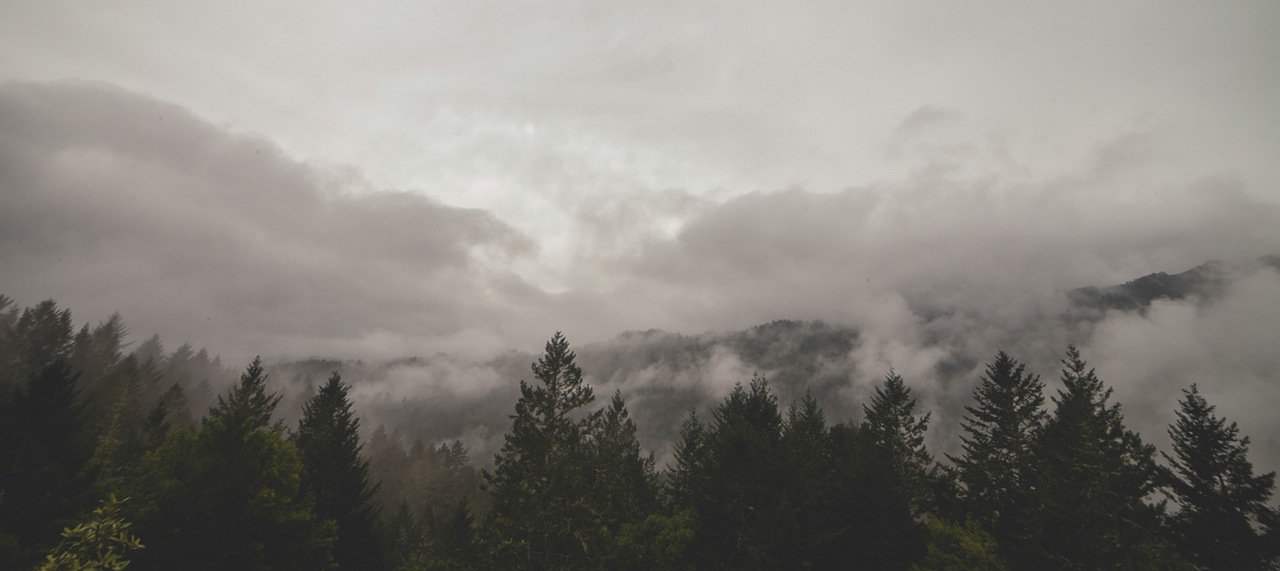 mountains-clouds-forest-trees.jpg