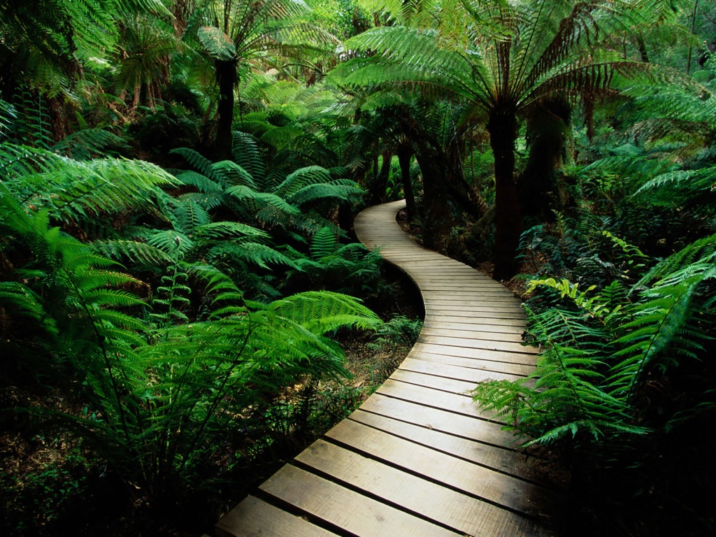 nature-wallpaper-pathway1.jpg