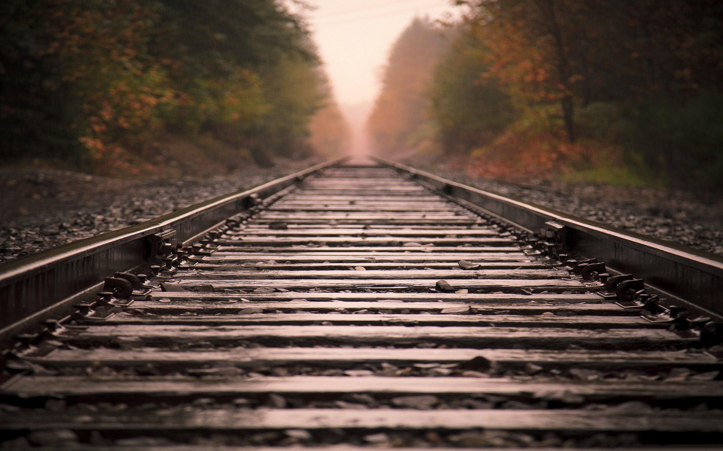 7034216-railroad-closeup.jpg