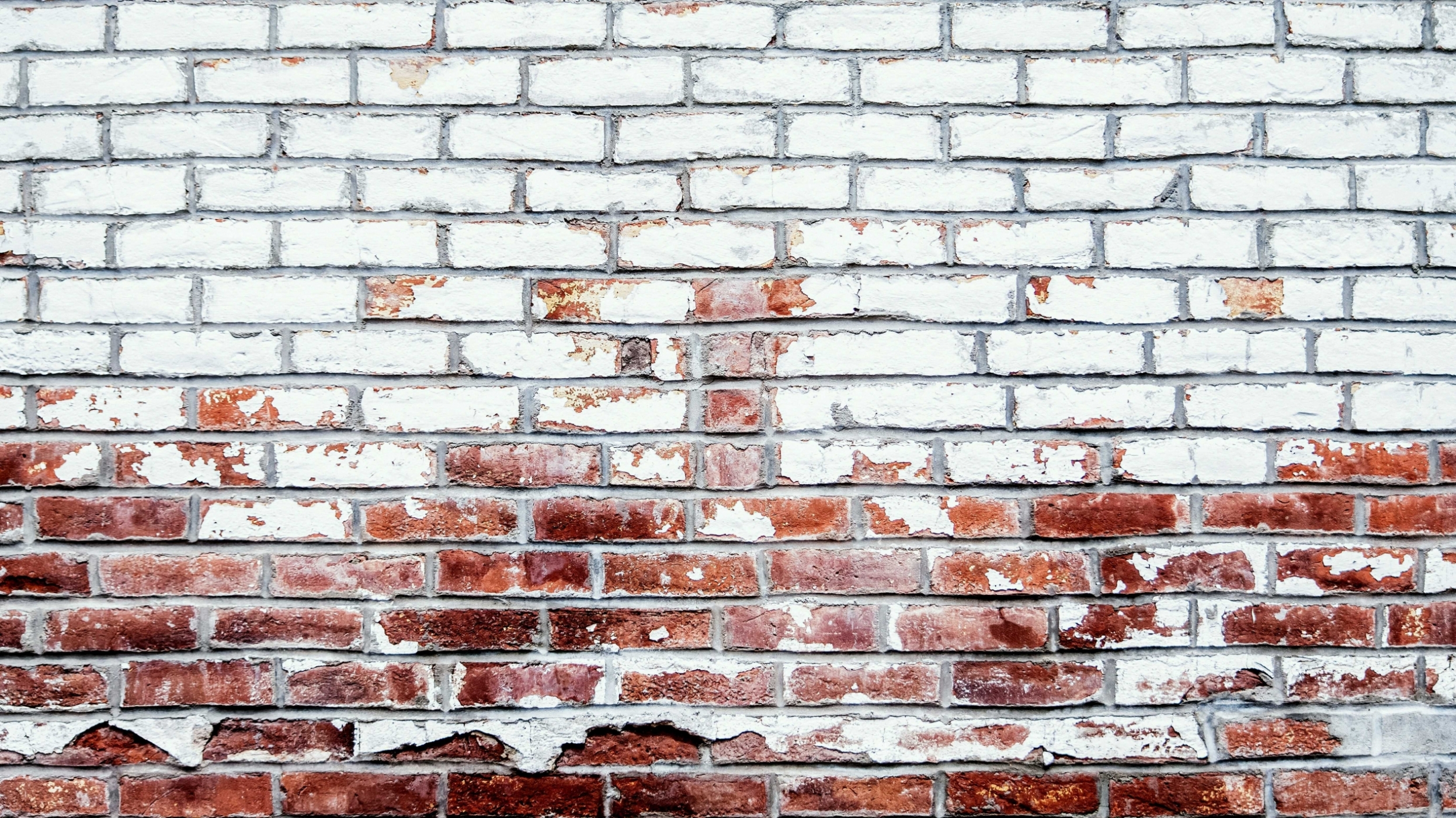 normal_beautiful-white-brick-wall-background-grunge_t20_xX60y9~0.jpg