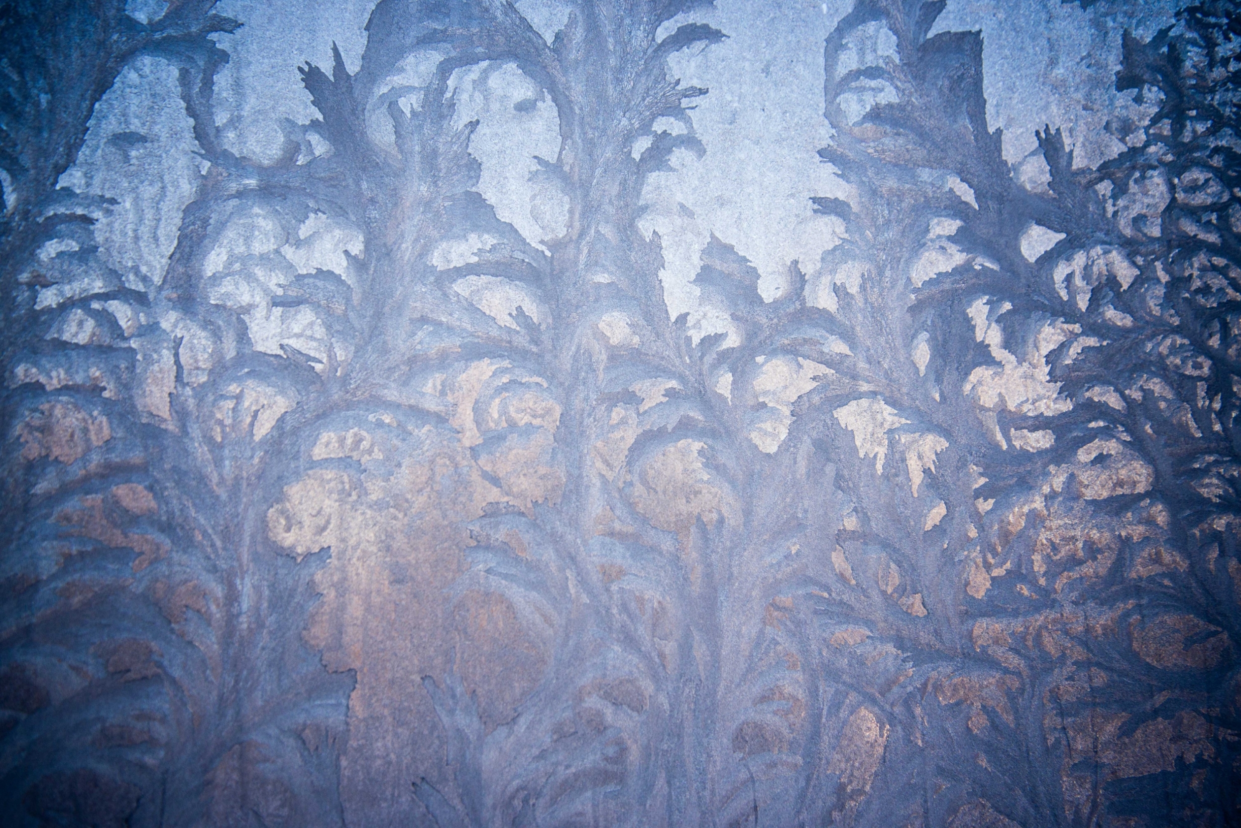 frosty-pattern-on-the-glass-winter-christmas-abstract-backdrop-frosted-glass-ice-background-natural_t20_WxOr6g.jpg