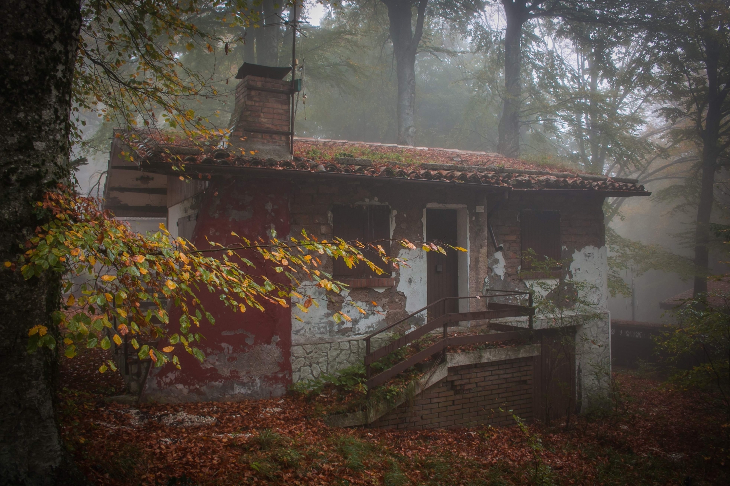 haunted-abandoned-house-in-the-autumn-forest-with-fog_t20_Xx1kpl.jpg