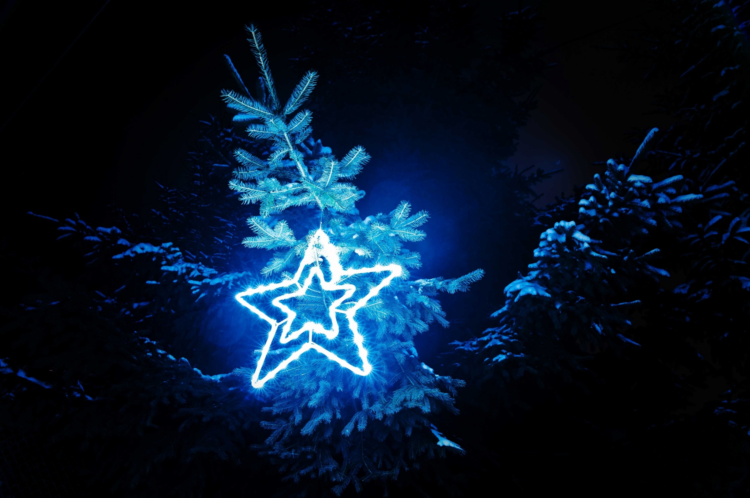 shining-star-of-garlands-outdoor-on-frozen-evening-2021-09-23-21-32-08-utc.JPG