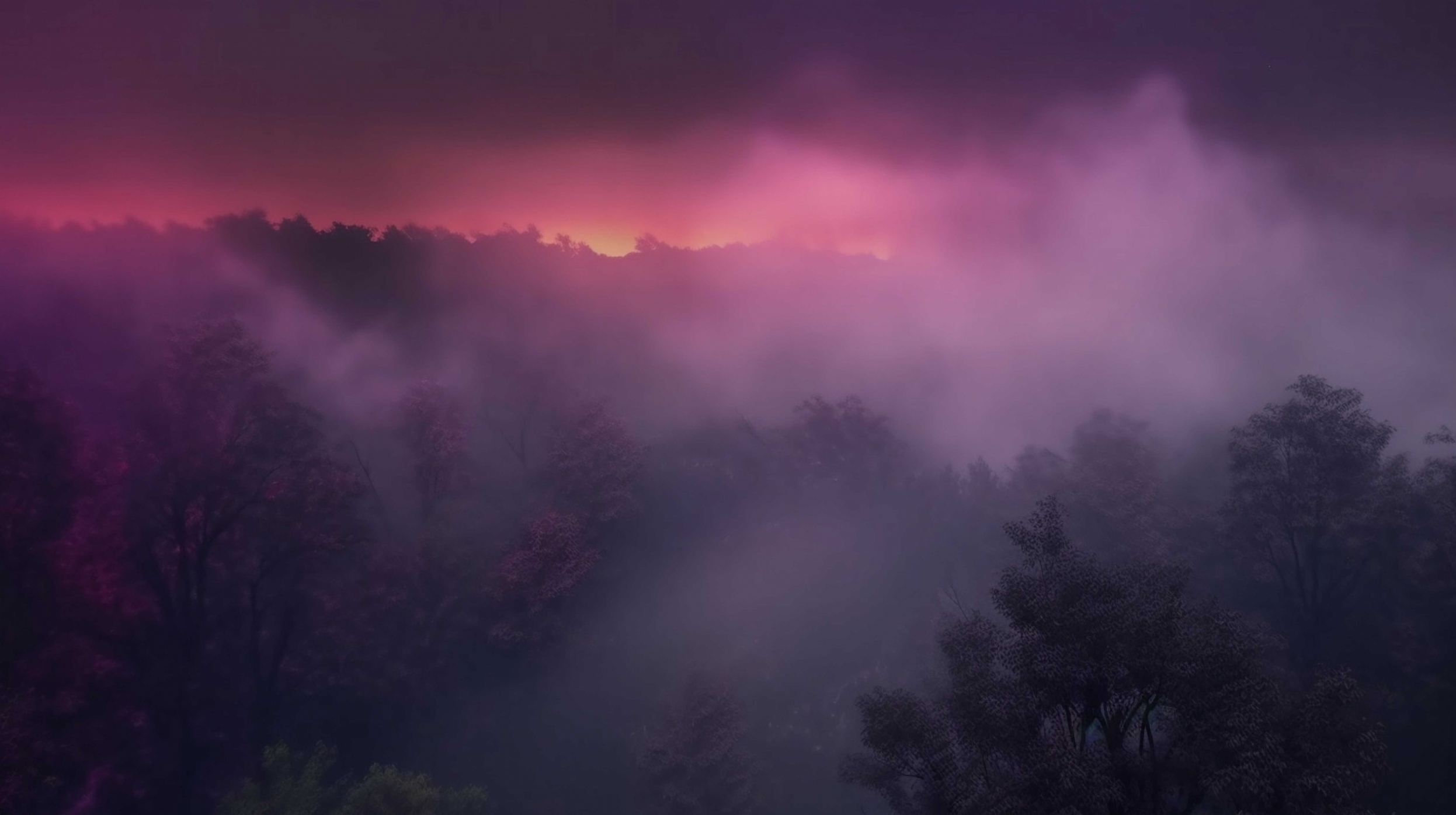 vecteezy_enchanting-pink-magenta-and-purple-fog-on-dark-hazy_28709946_109~0.jpg