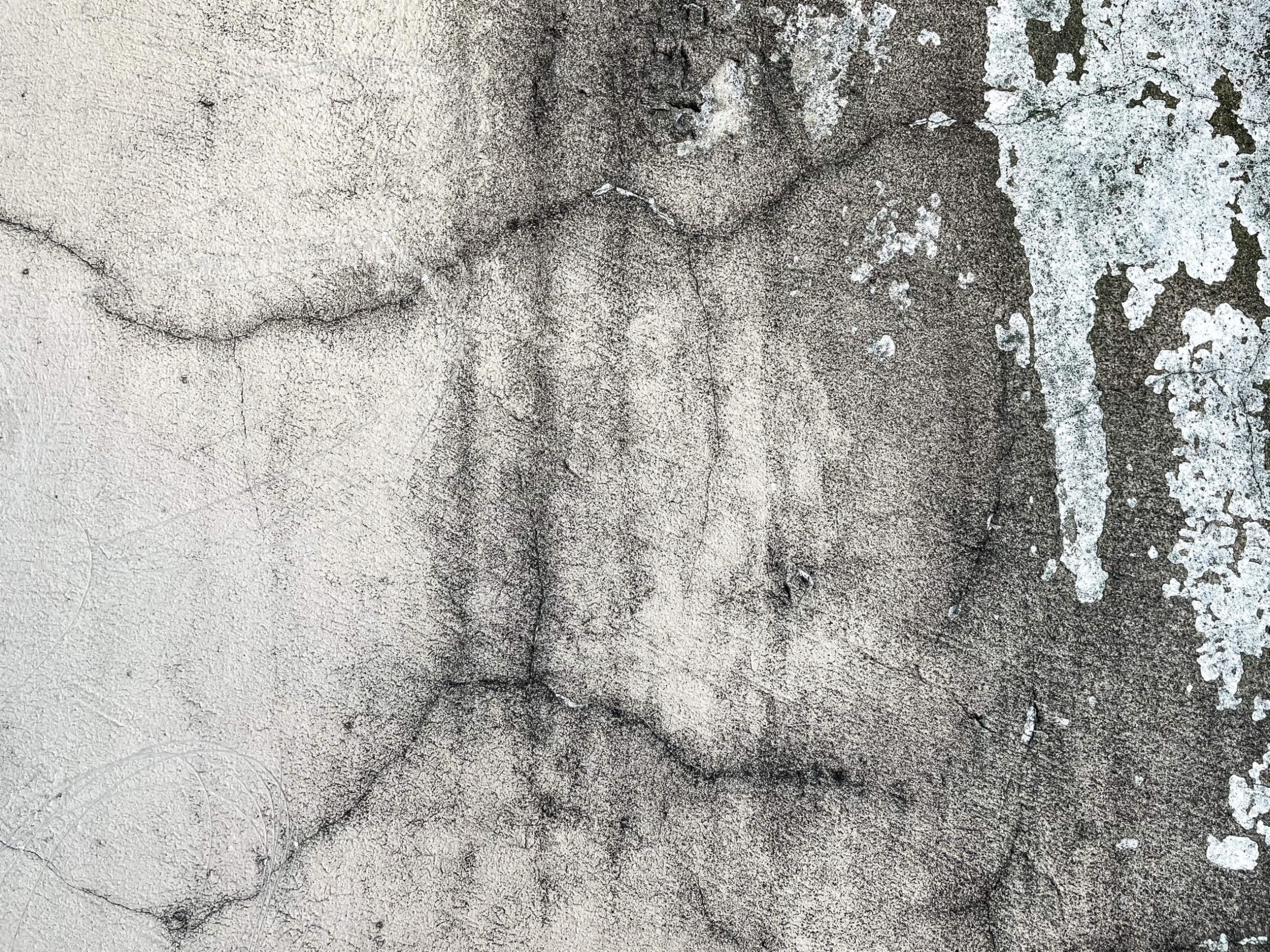 vintage-cement-wall-background-texture-2022-01-05-22-34-39-utc.jpg