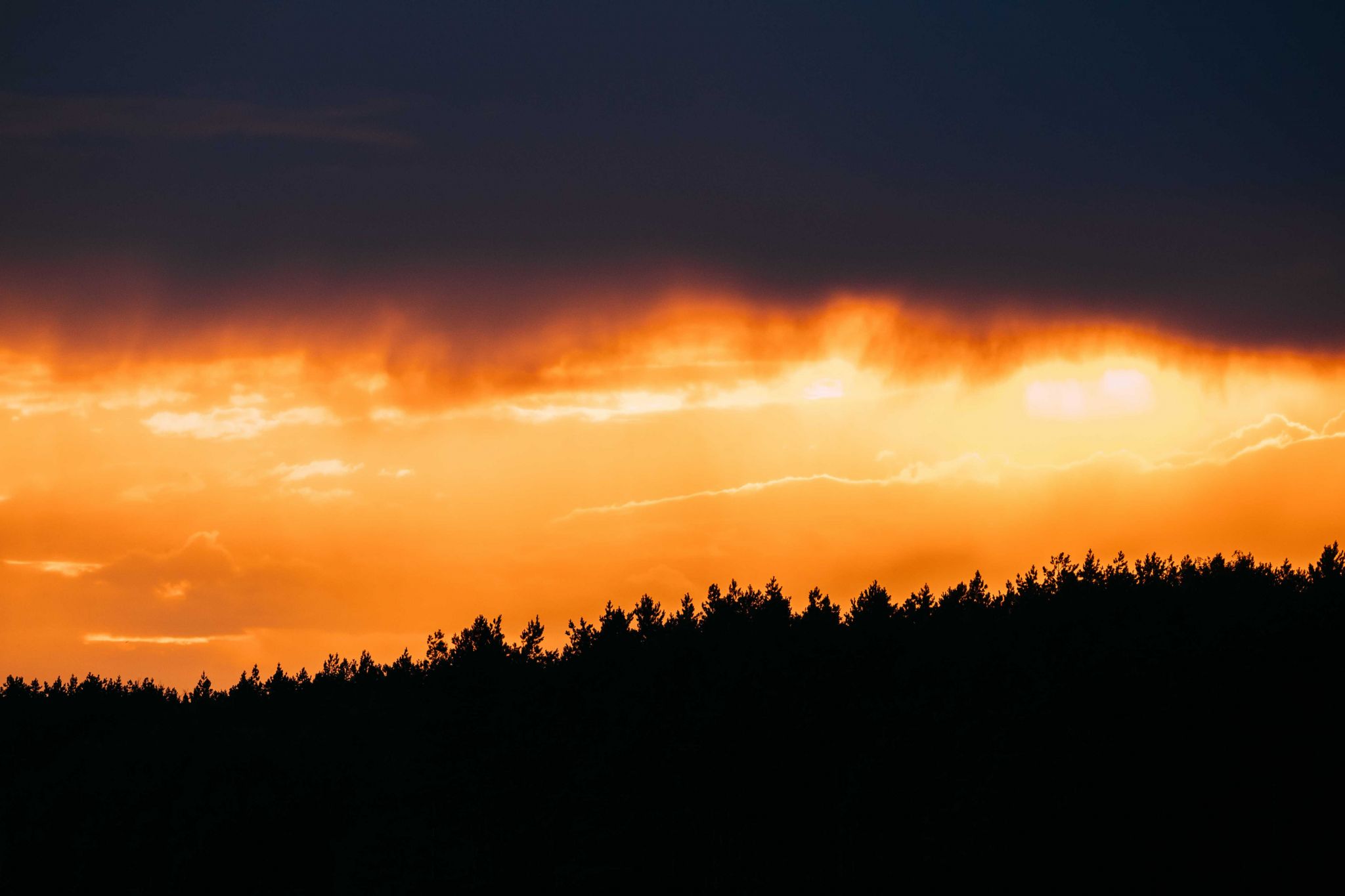 rain-cloud-above-dark-black-silhouettes-of-forest--PL93XJY.jpg