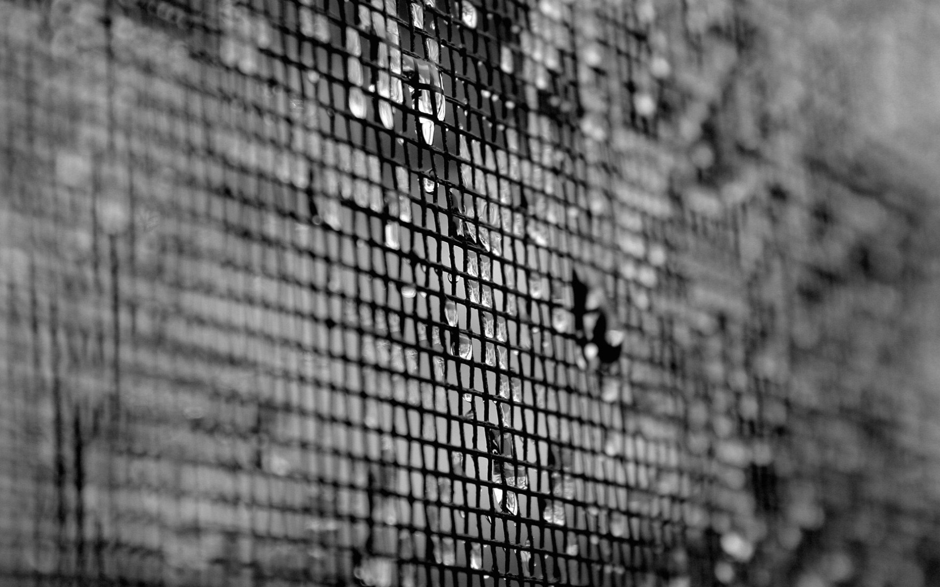 texture-mesh-drops-black-and-white.jpg