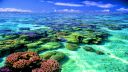 18-184891_coral-reef-wallpaper-hd.jpg