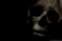 219226_skull-wallpaper-backgrounds_1898x1284_h.jpg