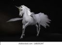 3d-render-portrait-unicorn-horse-260nw-1686581347.jpg