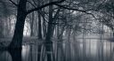 44864_2897-dark-forest-backgrounds-hd-wallpapers-walops-com_1920x1080_h.jpg