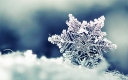 6943311-snowflake-wallpaper-hd.jpg