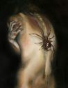 900ddb8cc7604d7d7e01713f641ac612--spider-art-the-spider.jpg