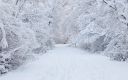 Beautiful-White-Winter-Snow-Wallpaper-1920x1200-768x480.jpg