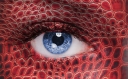 Blue-eyes-eyelashes-scales_2880x1800.jpg