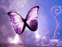 Butterfly_Wallpaper_2.jpg